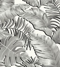 Banana Leaves Wallpaper by Brand McKenzie Black / White