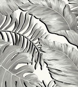 Banana Leaves Max Wallpaper by Brand McKenzie Black / White