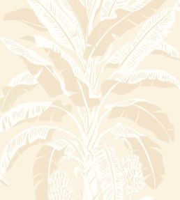 Banana Tree Wallpaper by Thibaut Beige