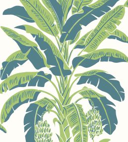 Banana Tree Wallpaper by Thibaut Green and Blue