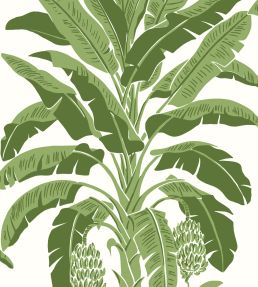 Banana Tree Wallpaper by Thibaut Green