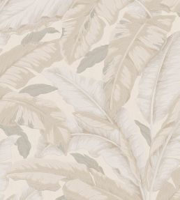Banane Wallpaper by Jannelli&Volpi Greige