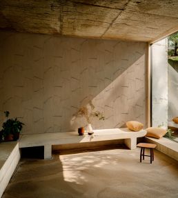 Bananeira Wallpaper by Tres Tintas Arena