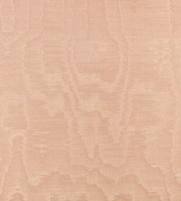 Bandra Fabric by Zinc Blush