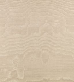 Bandra Fabric by Zinc Shingle