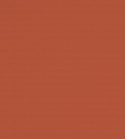 Bantry-Bay Fabric by Warwick Tangerine