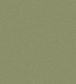 Baobab Wallpaper by Jannelli&Volpi Green
