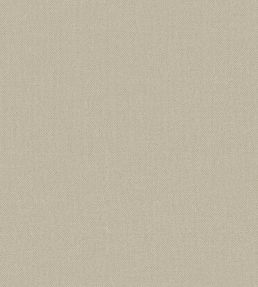 Baobab Wallpaper by Jannelli&Volpi Greige