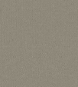 Baobab Wallpaper by Jannelli&Volpi Grey
