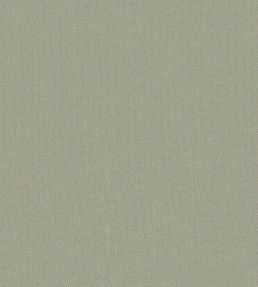 Baobab Wallpaper by Jannelli&Volpi Medium Grey