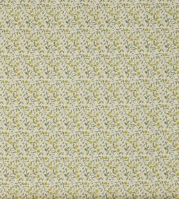 Barbara Fabric by Prestigious Textiles Cucumber