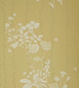 Wild Meadow Wallpaper by Barneby Gates Dandelion