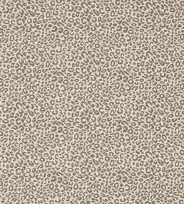 Baxter Fabric by Colefax and Fowler Charcoal