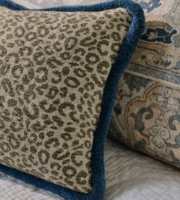 Baxter Fabric by Colefax and Fowler Beige