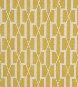 Belvedere Fabric by Schumacher Mimosa