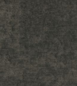 Belvedere Velvet Fabric by Osborne & Little Elephant
