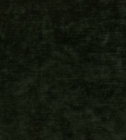 Belvedere Velvet Fabric by Osborne & Little Forest