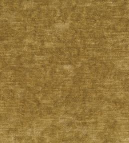 Belvedere Velvet Fabric by Osborne & Little Gold