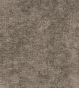 Belvedere Velvet Fabric by Osborne & Little Mink