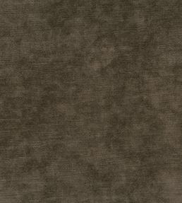 Belvedere Velvet Fabric by Osborne & Little Mocha