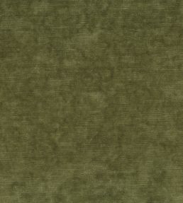 Belvedere Velvet Fabric by Osborne & Little Olive