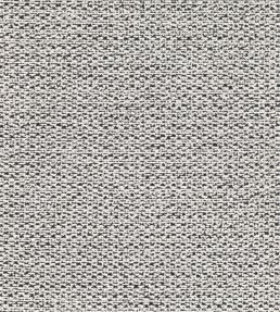 Benetti Fabric by Black Edition Avocet