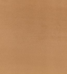 Benjamin Fabric by Zinc Camel