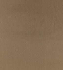 Benjamin Fabric by Zinc Driftwood