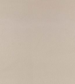 Benjamin Fabric by Zinc Silver Grey