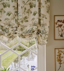 Bettina Fabric by Colefax and Fowler Apricot/Leaf