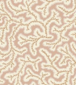Big Dulcie Wallpaper by Ian Sanderson Shrimp