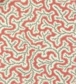 Big Dulcie Linen Fabric by Ian Sanderson Coral