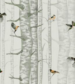 Birch Trees Wallpaper by Coordonne Silvester
