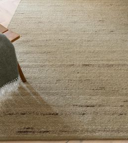 Asiatic Birkdale rug Pistachio BIRK120170PIST Pistachio