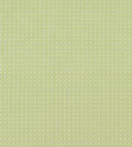 Bistro Fabric by Thibaut Kiwi
