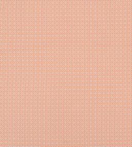 Bistro Fabric by Thibaut Mandarin