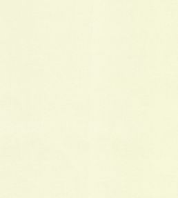 Blackout Lining - Ivory by JC Ivory