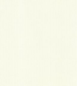 Blackout Lining - Pale Ivory by JC Pale Ivory