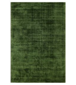 Asiatic Blade rug Green BLAD104-05-120170 Green
