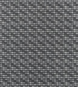 Blengdale Fabric by Designers Guild Graphite