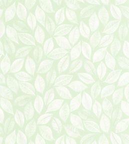 Bliss Wallpaper by Caselio Vert D'Eau