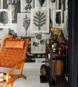 Blossfeldts Art Forms Wallpaper by MINDTHEGAP Taupe
