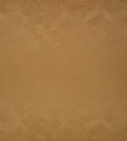 Boa Fabric by Black Edition Cumin