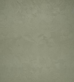 Boa Fabric by Black Edition Jadeite