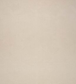 Boa Fabric by Black Edition Pampas