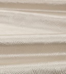 Boa Fabric by Black Edition Pampas