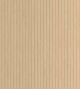 Boisea Wallpaper by Caselio Beige