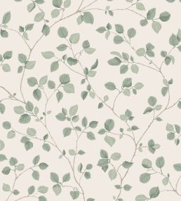 Bokskog Wallpaper by Sandberg Garden Green