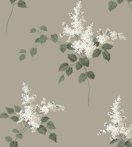 Lilacs Wallpaper by Borastapeter 67