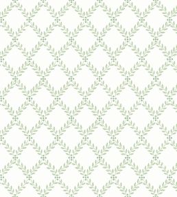 Trellis Leaves Wallpaper by Borastapeter 71